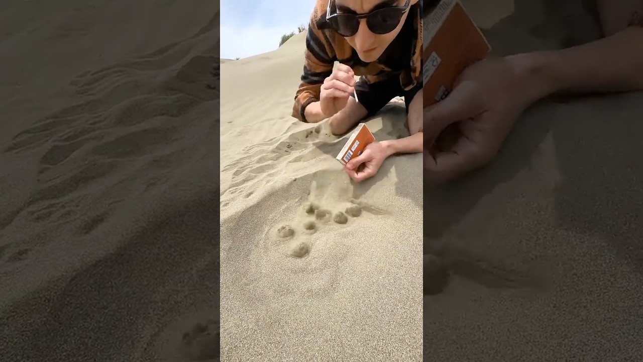 Massive Natural Gas Find in Desert 🌵