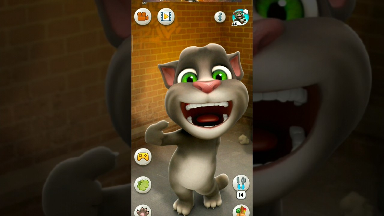 Hilarious Talking Tom Cat Moments You Can't Miss! π±