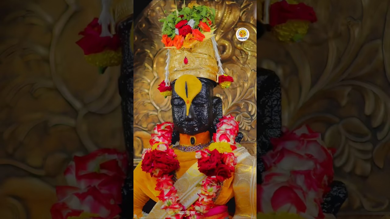 मागतो मी पांडुरंगा | Vithumauli Short Video