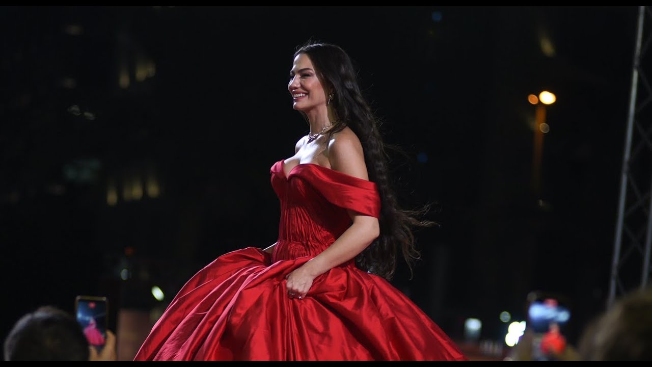 DIAFA 2024: Celebrate Demet Özdemir & International Stardom ✨