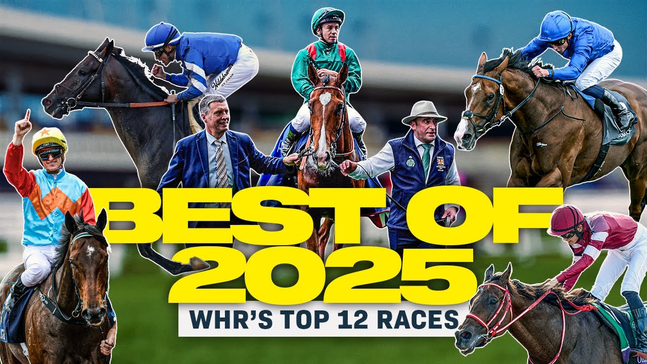 WHR's Top 12 Races of 2025 🏇