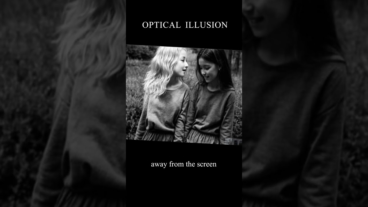 Find The Third Hidden Face In This Optical Illusion