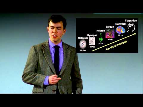 Why psychiatry needs computational models of the brain | John Murray | TEDxAmherst