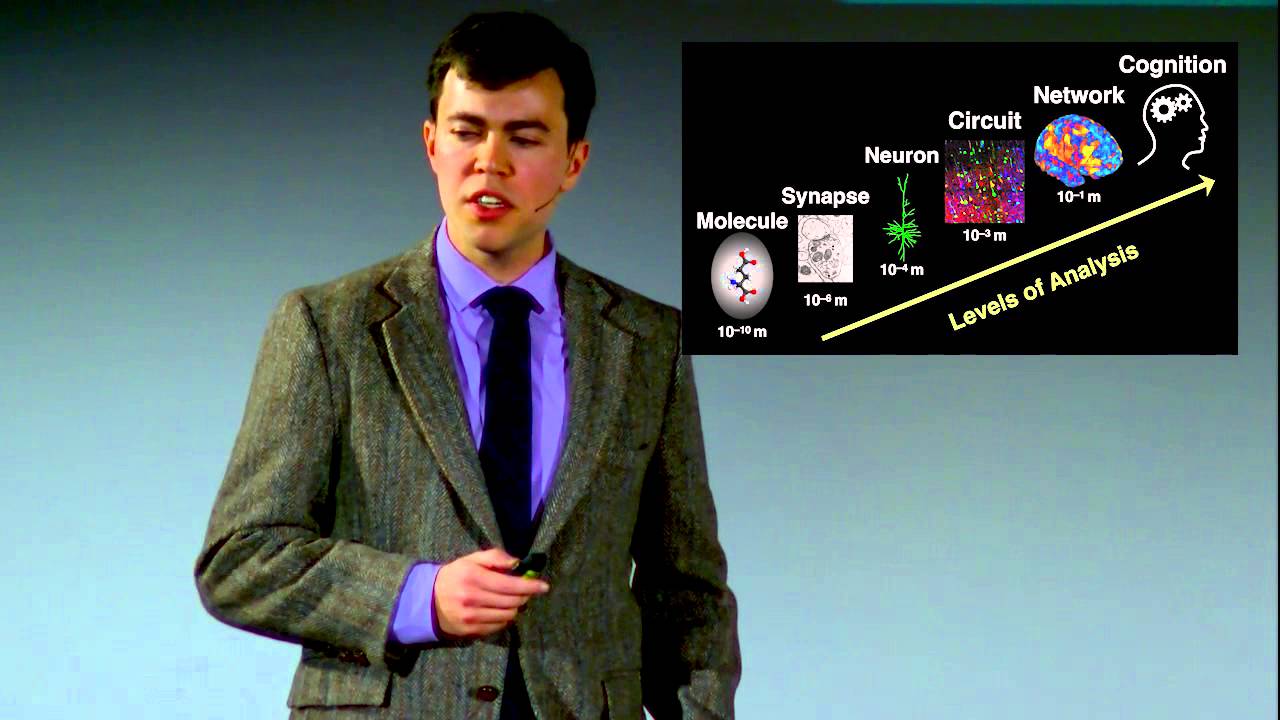 Revolutionizing Psychiatry with Brain Computer Models 🧠 | John Murray at TEDxAmherst