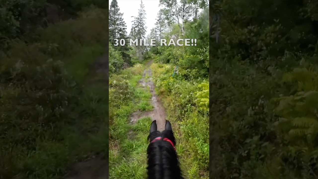 Endurance Race Adventures 🐎