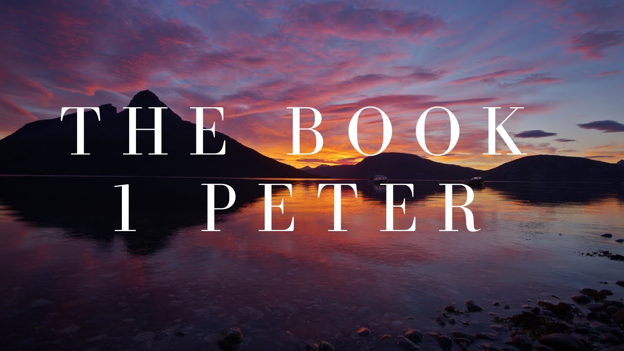 1 Peter NIV Audio Bible 🎧