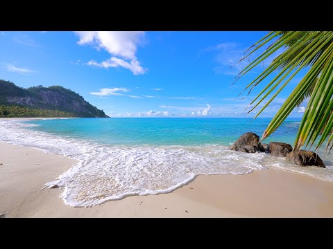 🏝 Turquoise Ocean off Seychelles Island. Ocean waves 4K Ultra HD
