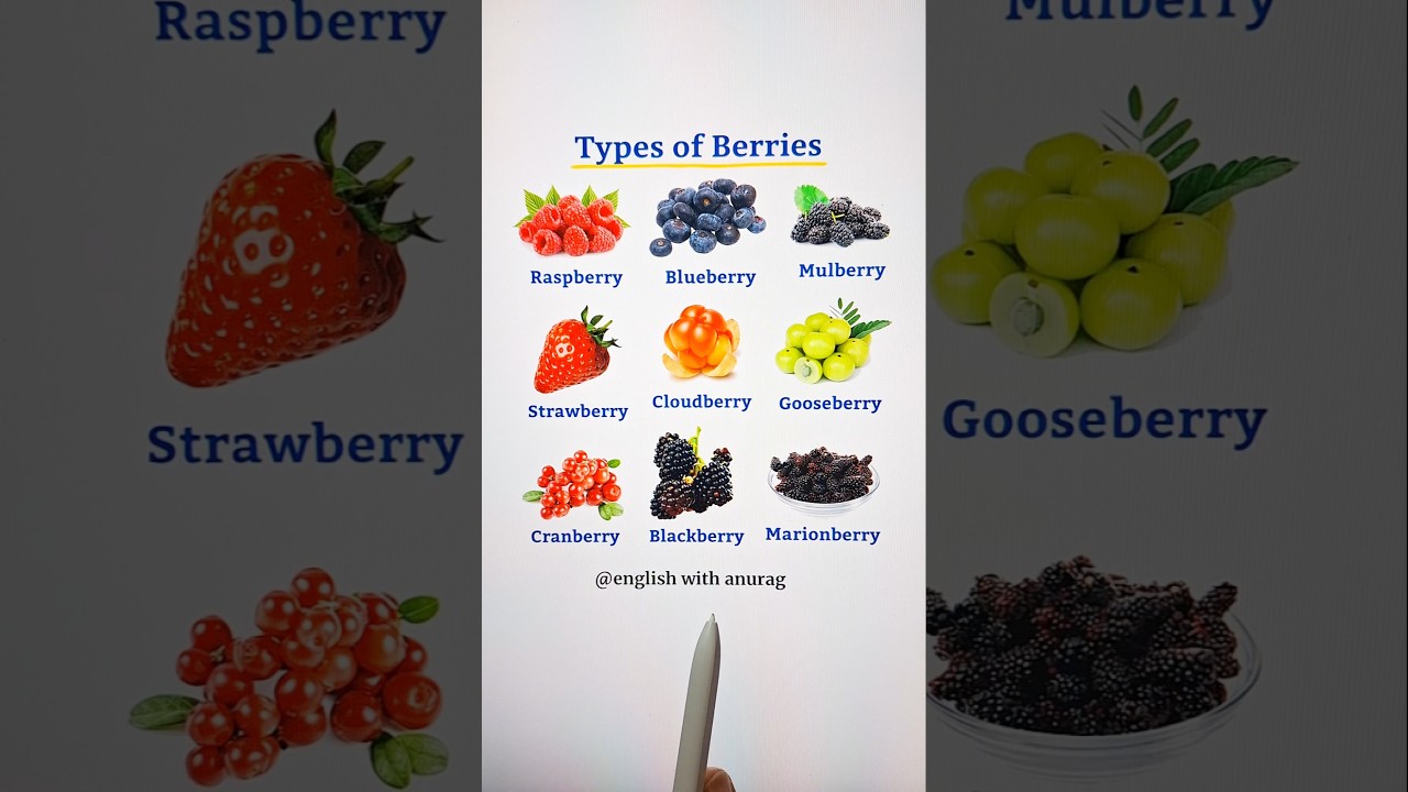 Types of Berries 🍓