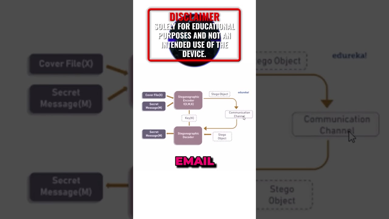 OTW Reveals How Steganography Conceals Hidden Messages π