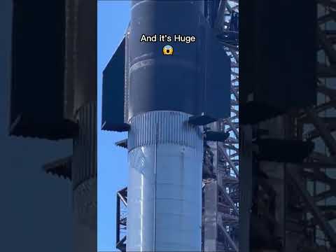 The real size of Starship from SpaceX