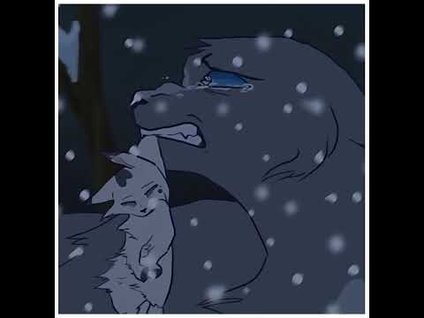 Are you satisfied? || Bluestar edit || #warriorcats #edits #bluestar