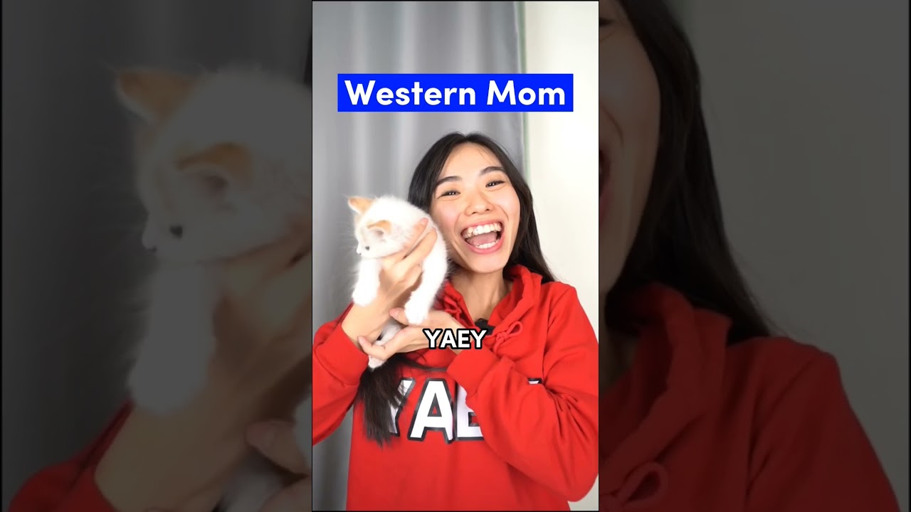 Chapter 12: Adopting a Small Cat π±