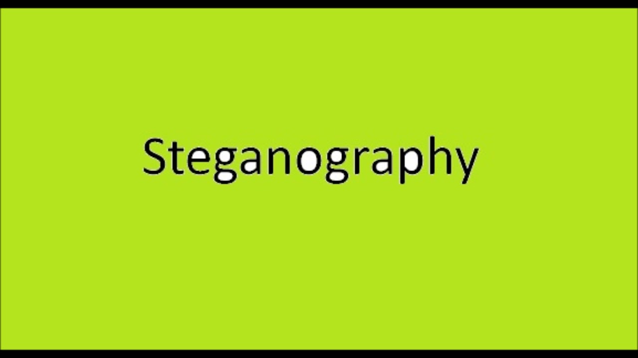 What Is Steganography? A Simple Guide to Hidden Data 📁