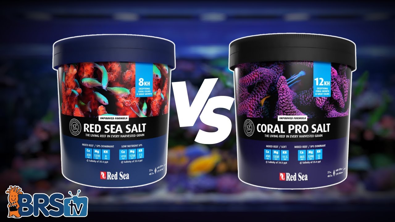 Choosing the Best Red Sea Salt for Your Reef Aquarium 🌊