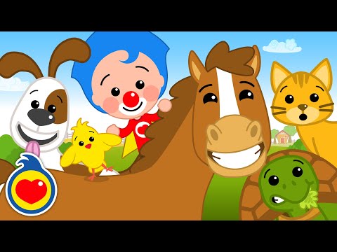 Como Os Animaizinhos 🐎 🐢 🐱 | Música Infantil | Um Herói do Coração