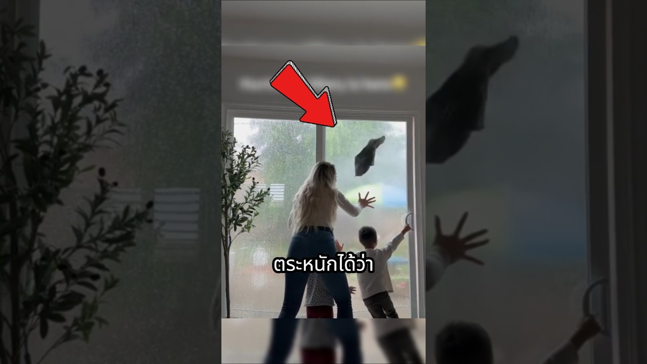 กับดักพายนอกบ้าน! 🌪️ #shorts