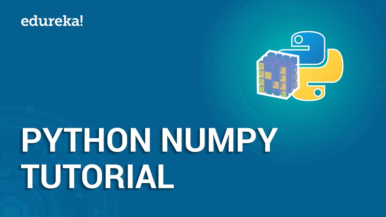 Master NumPy Arrays with Our Easy Python Tutorial for Beginners 🚀