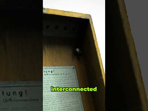 What Was The Enigma Machine? 🔑 #historyfacts #coolfacts