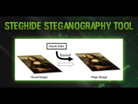 Steghide Tutorial for Kali Linux π οΈ
