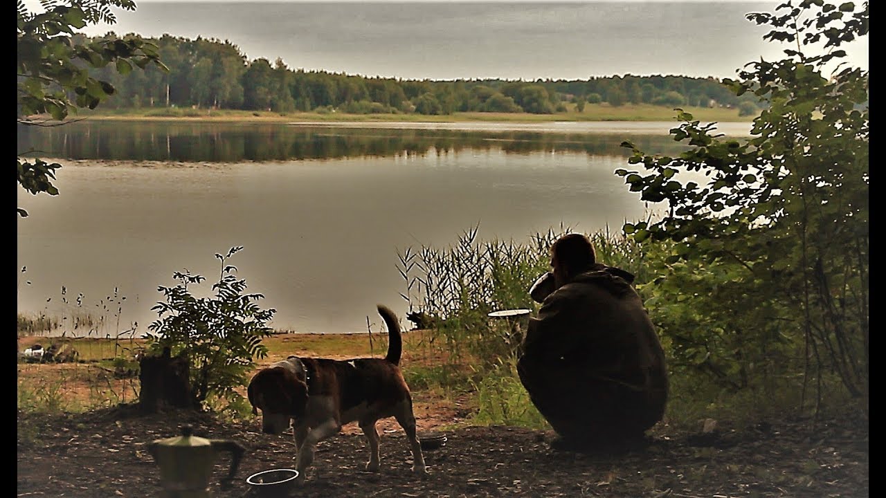 Рыбалка с ночёвкой — клёв и шашлыки на костре 🎣