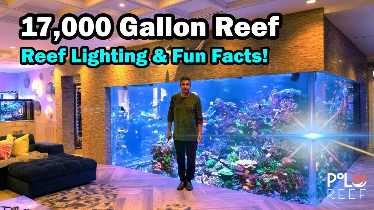17,000  Gallon Reef - Light Schedule & Quick Facts.