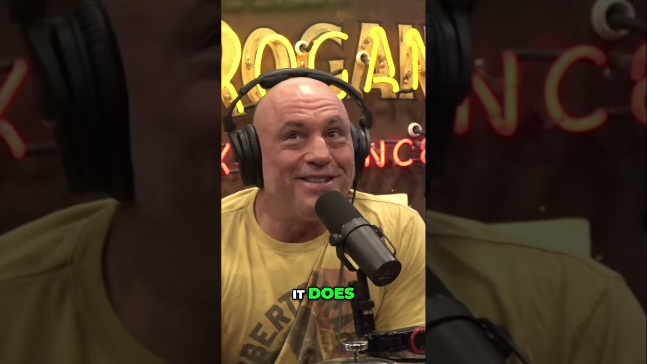 The Future of Quantum Computing: Navigating Challenges and Opportunities