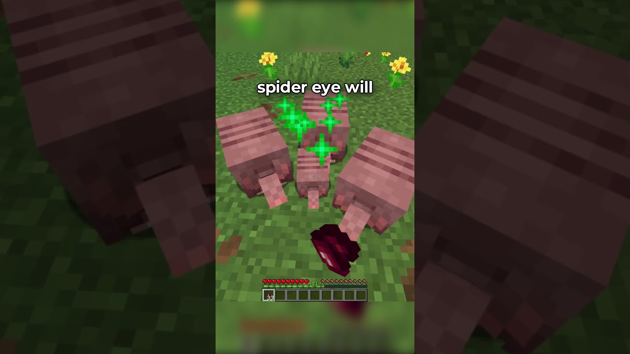 Top Minecraft Tips and Tricks for Success