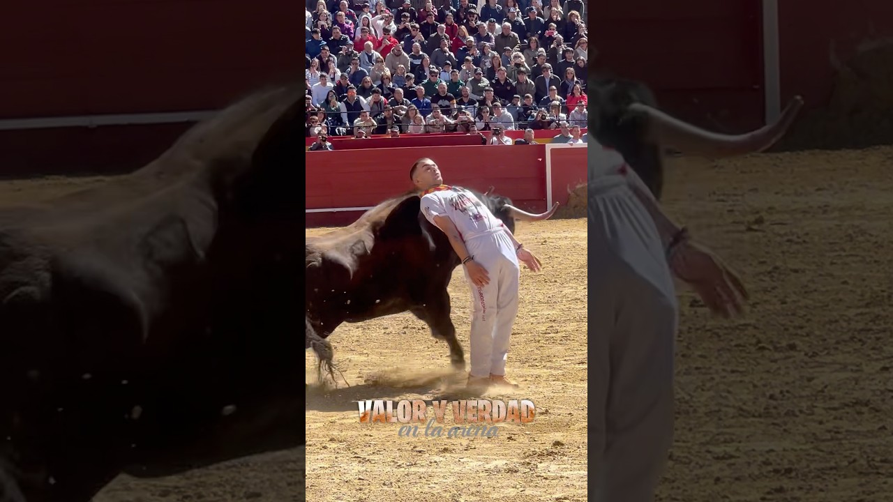 El Ruso, Campeón de Fallas Valencia 🏆