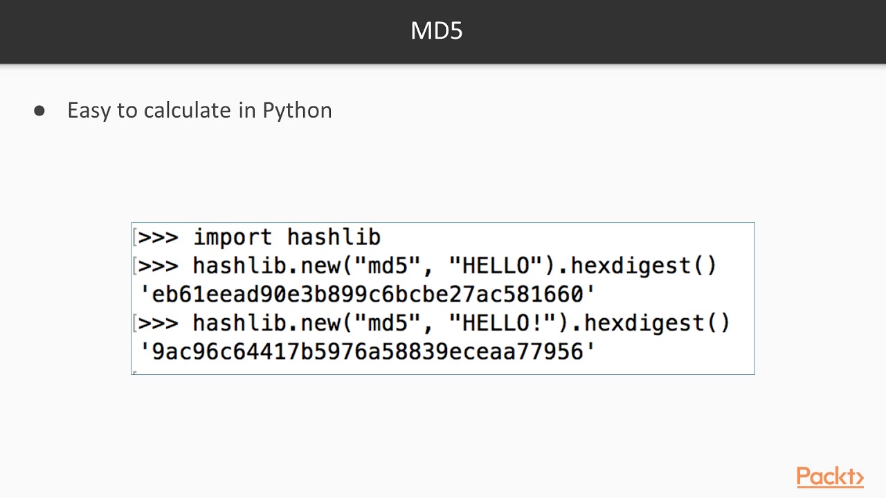 Cryptography with Python: MD5 & SHA Hashes 🔐
