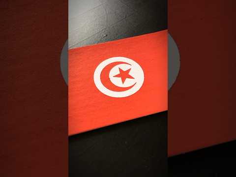 TUNISIA 🇹🇳 Flag Drawing #tunisia #africa #posca #flagdrawing