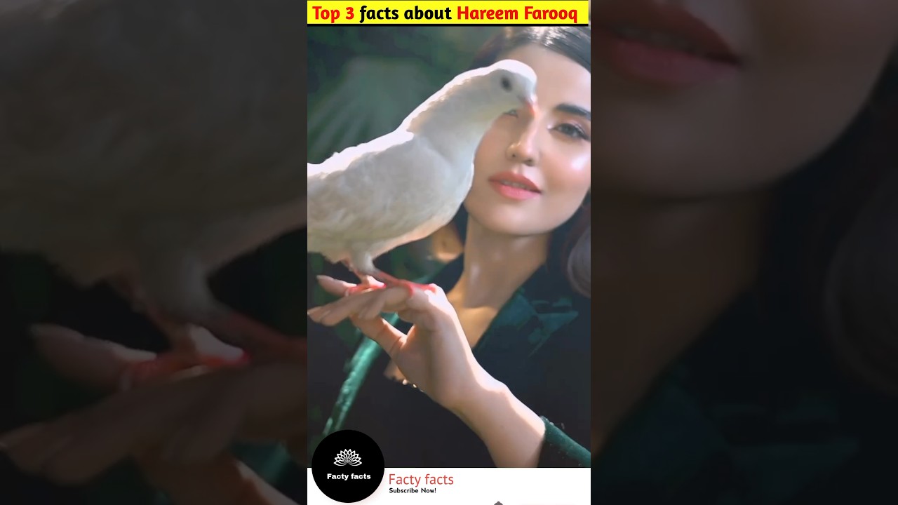 Interesting Facts About Hareem Farooq 🇵🇰