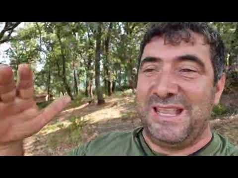 me tengo que ir de casa por la gente