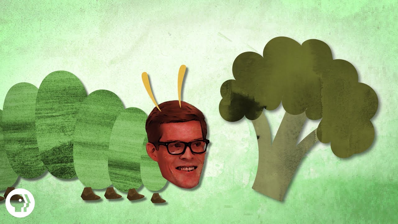 Your Salad Could Be Harmful ๐ฅ