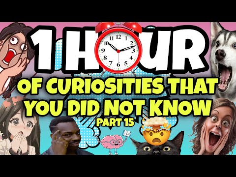 1 HOUR OF CURIOSITIES AND THINGS YOU DIDN'T KNOW 🧠⏰ #15