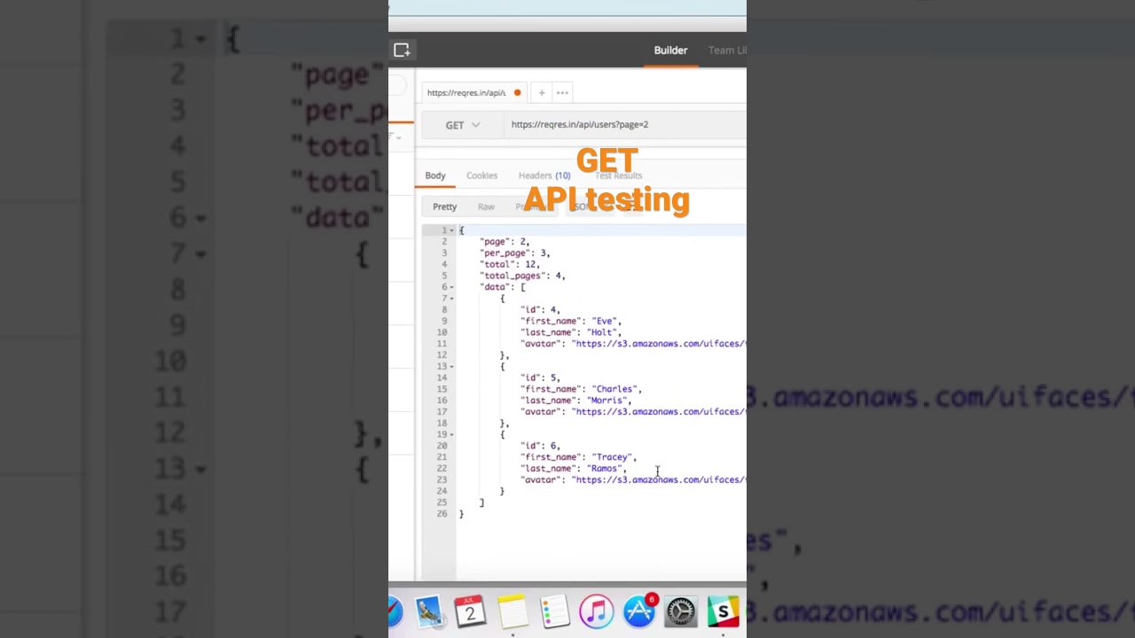 API Testing Made Easy with TechieQA