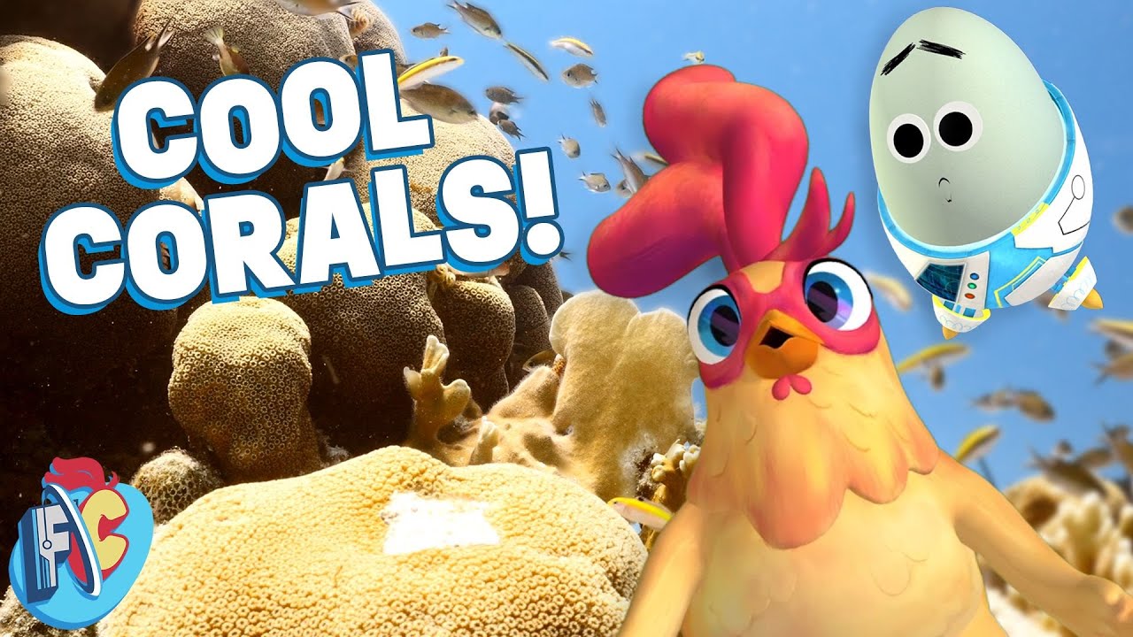 Coral Reefs Uncovered | Future Chicken π