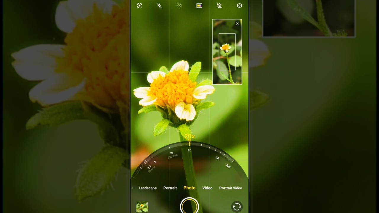 Vivo X300 Pro & X200 Pro Camera Test 📸