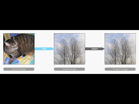 Hiding Images In plain sight: Deep Steganography