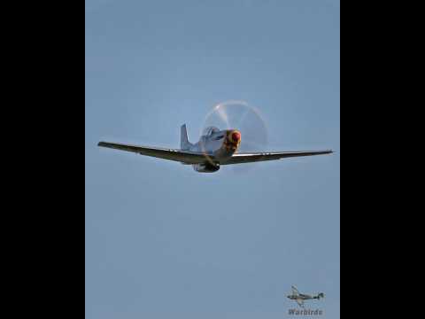 P-51 Mustang Bob Hoover roll #vintageaircraft #aircraft #mustang #vintagewarbirds #warbirds