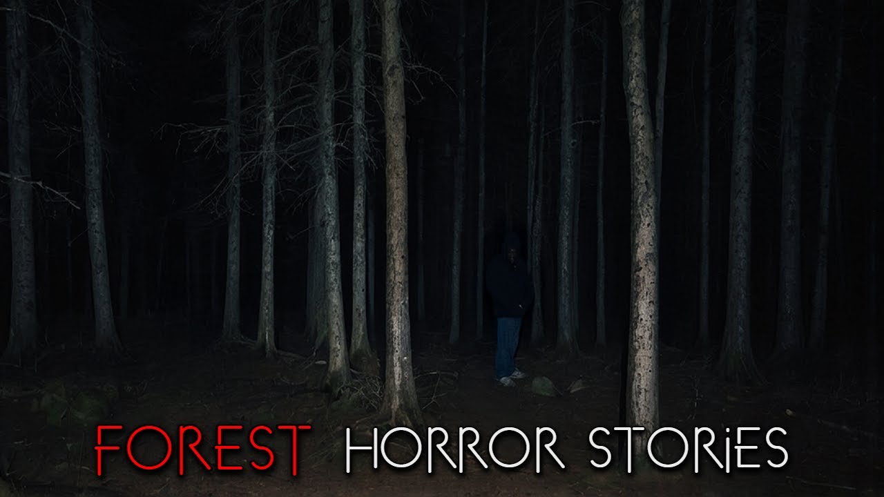 3 Creepy Wilderness Horror Stories 🌲
