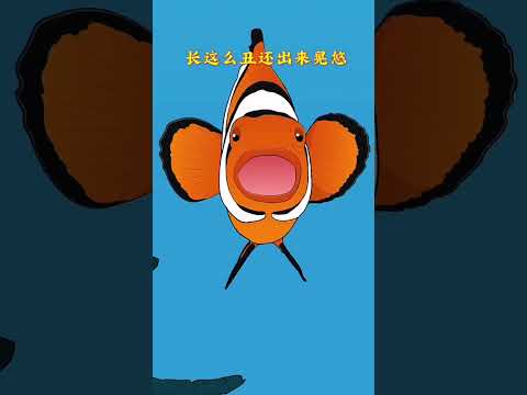 Clownfish and sea anemones work together perfectly. Knowledge Year-end Awards Content Ins