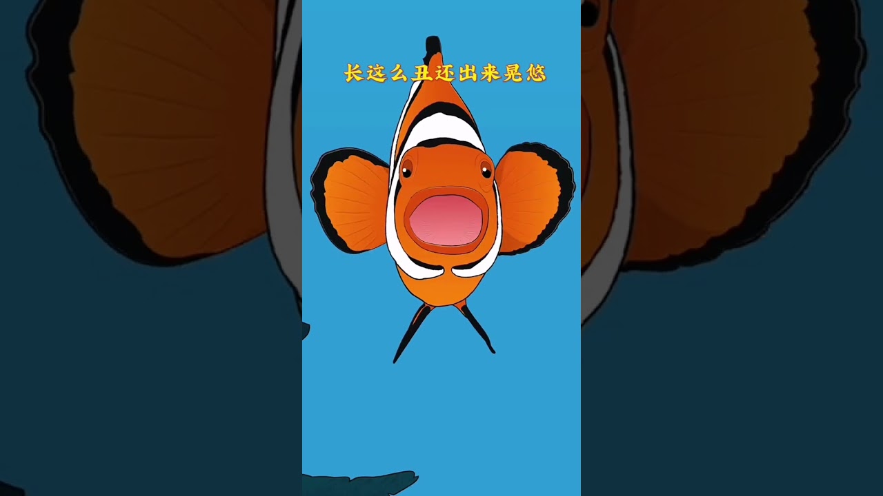 Discover the Amazing Symbiosis Between Clownfish and Sea Anemones 🐠