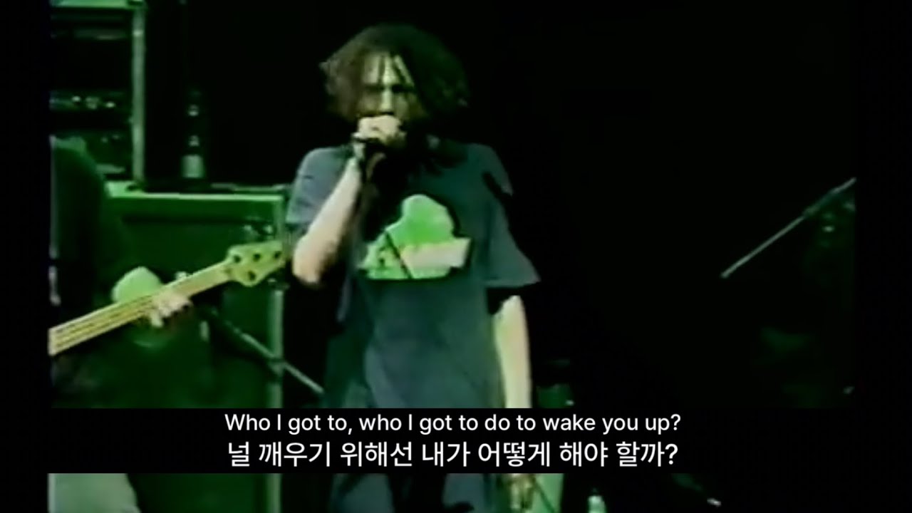 레이지 어게인스트 더 머신 - Wake Up 라이브 해석