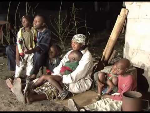 Musika Natisola: Timeless Hits 🎶