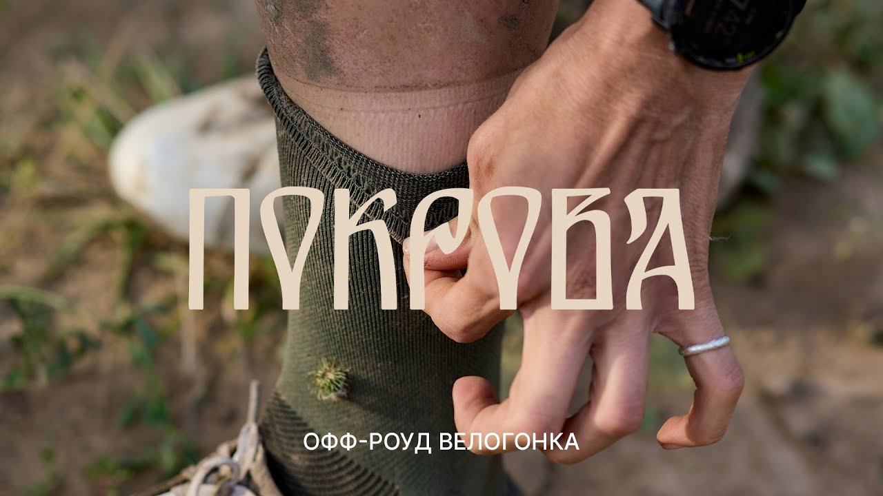 ПОКРОВА | Владимирская область, август 2024