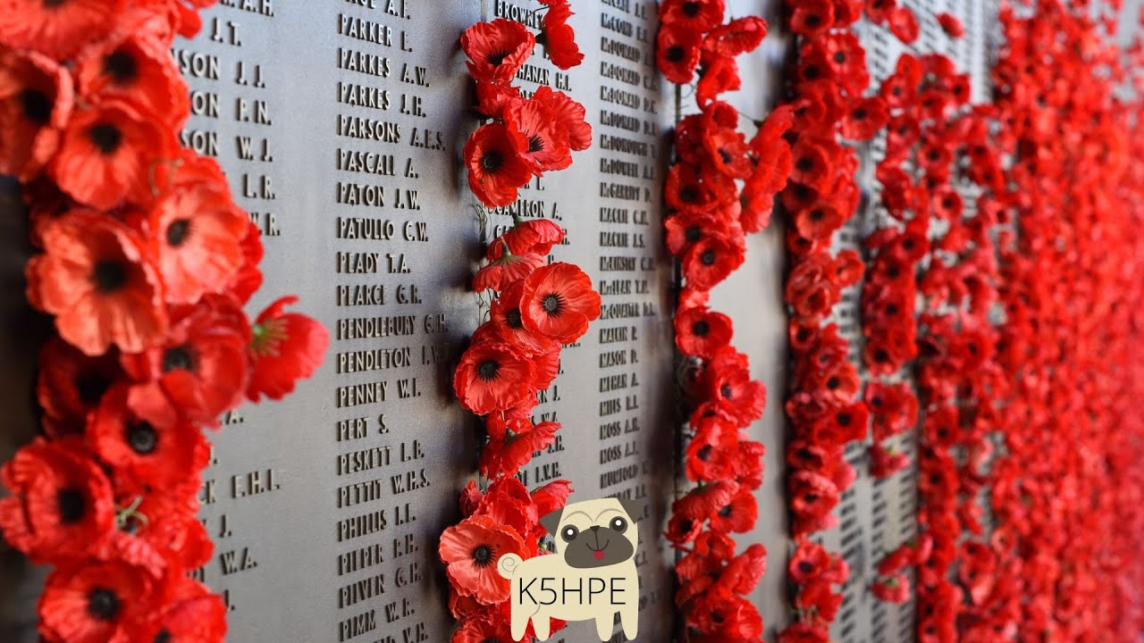 Honor Remembrance Day with Kids' Choir Song 🎶 - Reading & Singing Lyrics