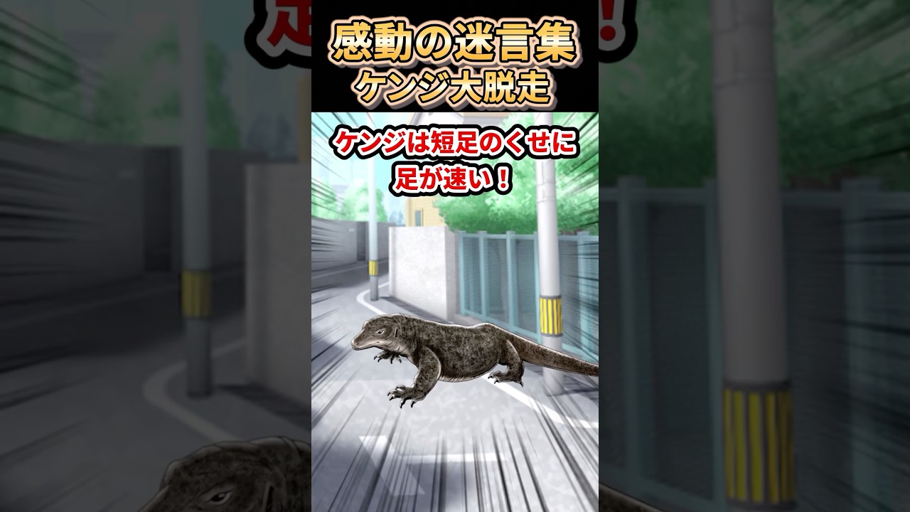 【2ch感動スレ】心に響く迷言集〜ケンジ大脱走〜✨