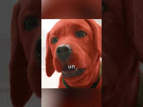 ¿Has visto alguna vez un perro tan grande?#movie