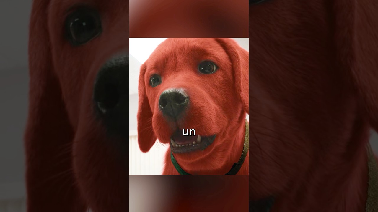 ¿Has visto alguna vez un perro tan grande? 🐶