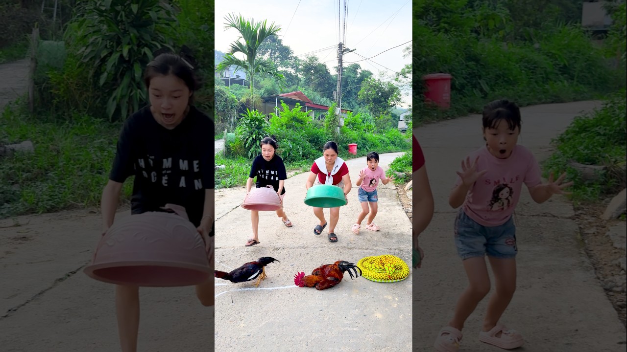 Get Ready to Laugh: Hilarious Moments Await!